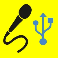 USB Audio Recorder (No delay)